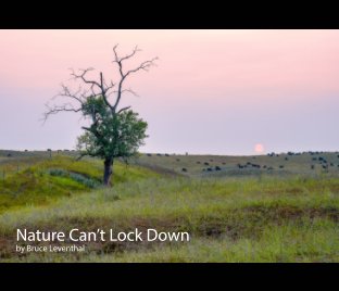 Nature Can't Lock Down book cover