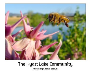 The Hyatt Lake Community book cover