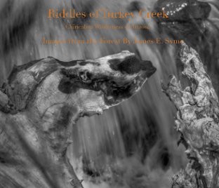 Riddles of Turkey Creek book cover