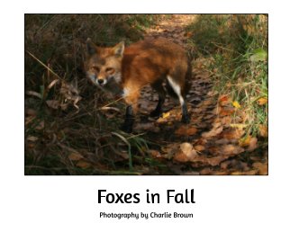 Foxes in Fall book cover