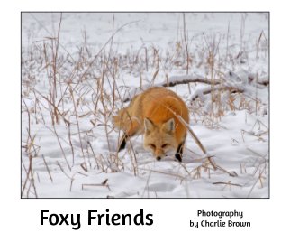 Foxy Friends book cover