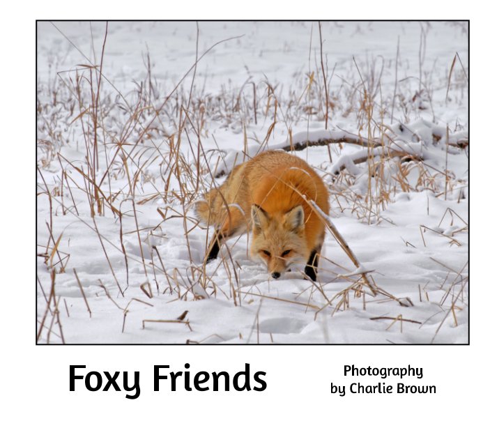 Ver Foxy Friends por Charlie Brown