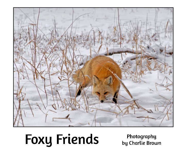 View Foxy Friends by Charlie Brown