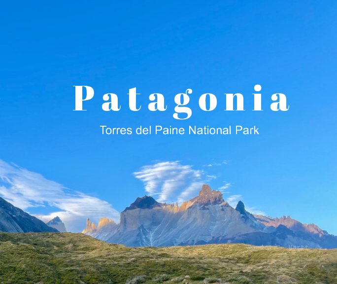 View Patagonia by Sondra C. Hartt