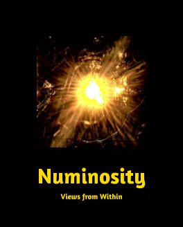 Numinosity book cover