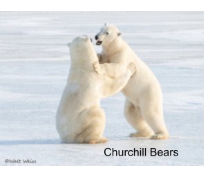 Churchill Bears book cover