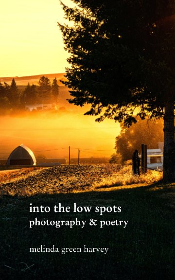 View into the low spots by Melinda Green Harvey