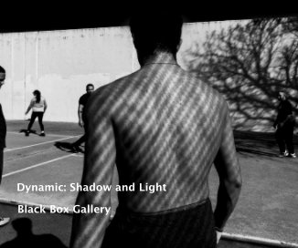 Dynamic: Shadow and Light book cover