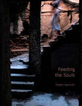 Feeding the Souls book cover