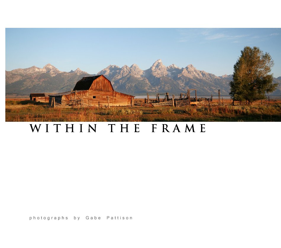 Ver Within The Frame por Gabe Pattison