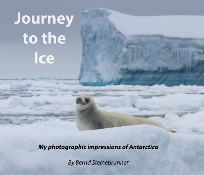 View Journey to the Ice by Bernd Steinebrunner