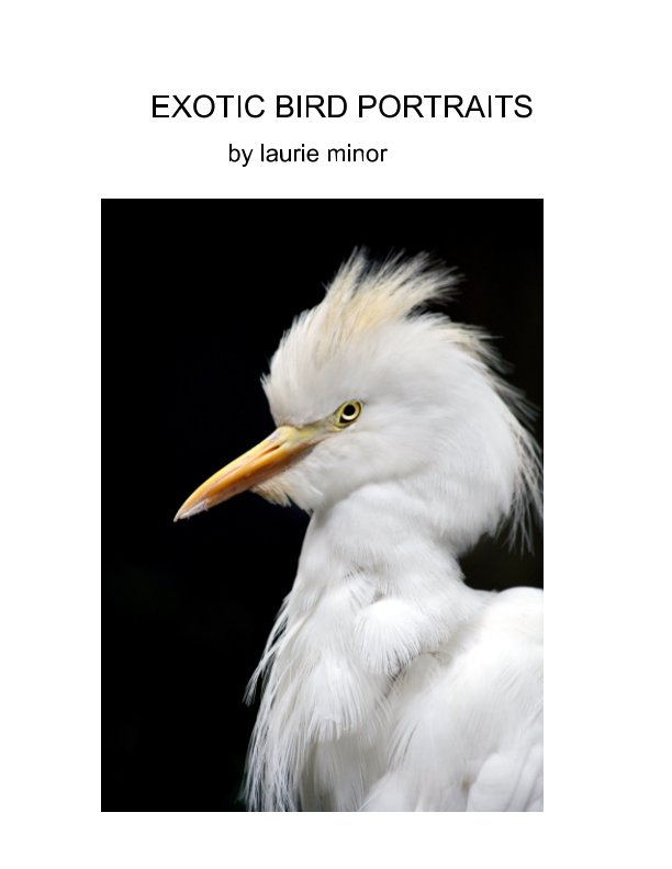 View Exotic Bird Portraits by Laurie Minor