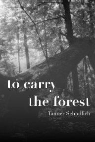 To Carry the Forest book cover