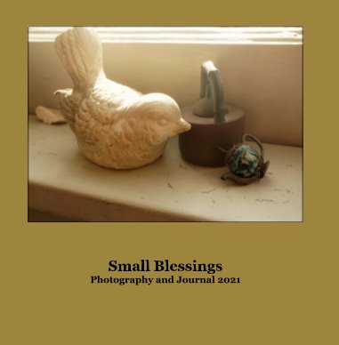 Small Blessings book cover