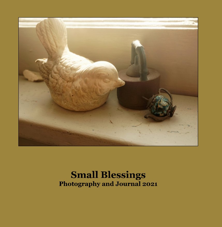 Visualizza Small Blessings di Rita Otis