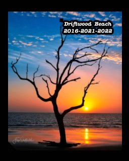 Driftwood Beach at Jekyll Island and Brunswick Georgia  2016-2021-2022 book cover