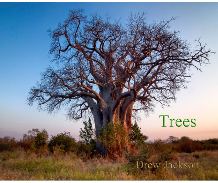 Trees nach Drew Jackson anzeigen