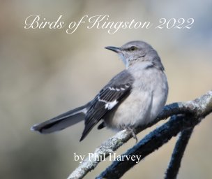 Birds of Kingston 2022 book cover