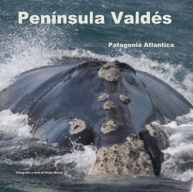 Peni­nsula Valdés Patagonia Atlantica book cover