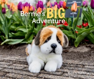 Bernie's Big Adventure book cover