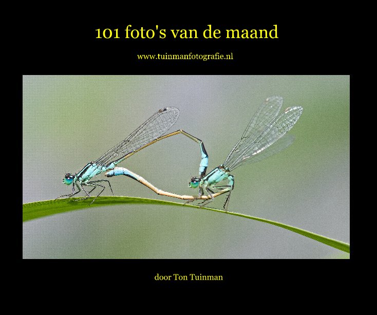 View 101 foto's van de maand by door Ton Tuinman