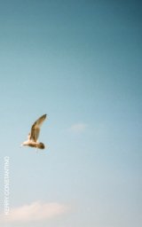 Portra 400 on the M35 book cover