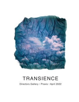 Transience book cover