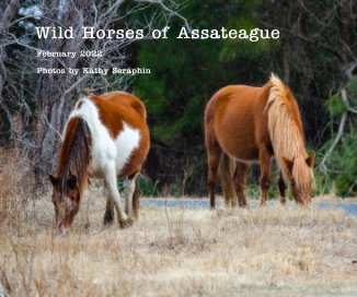 Wild Horses of Assateague book cover