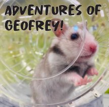Adventures with Geoffrey book cover