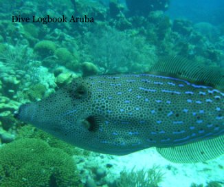 Dive Logbook Aruba book cover