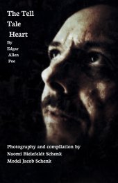 A Tell Tale Heart - By Edgar Allen Poe book cover