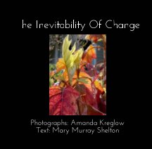 The Inevitability Of Change book cover