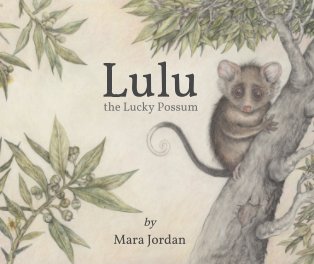 Lulu book cover