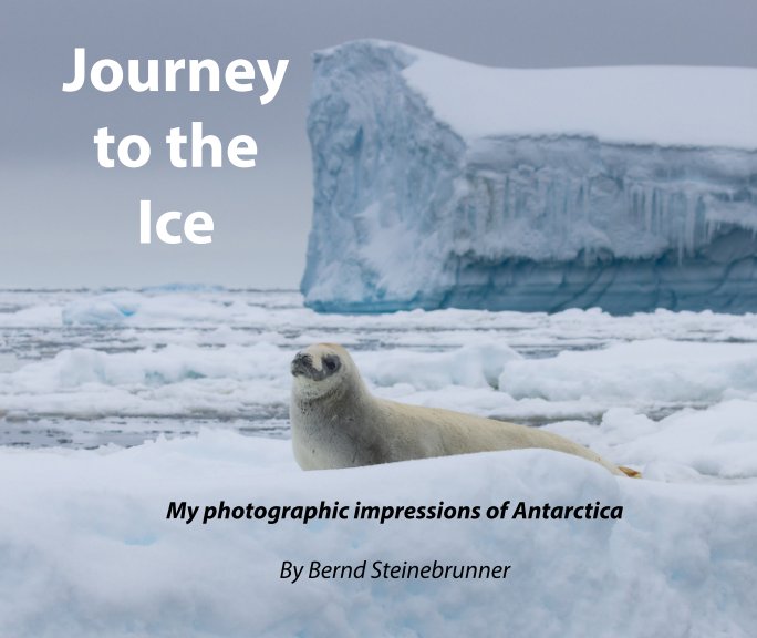 View Journey to the Ice - Softcover by Bernd Steinebrunner