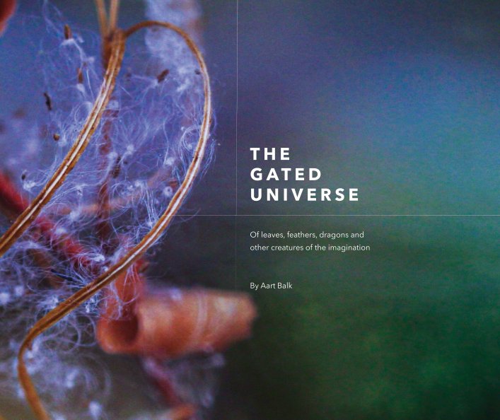 View The Gated Universe by Aart Balk
