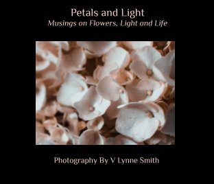 Petals and Light book cover
