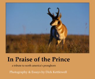 In Praise of the Prince book cover