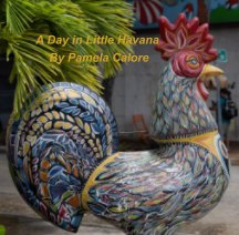 A Day in Little Havana book cover