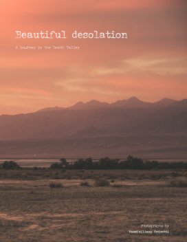 Beautiful desolation book cover