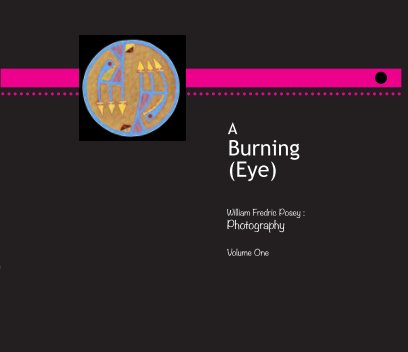 A Burning Eye ( Volume One ) book cover