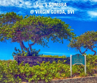 Sol Y Sombra book cover