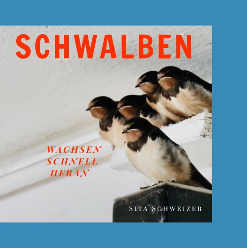 View Schwalben wachsen schnell heran by Sita Schweizer