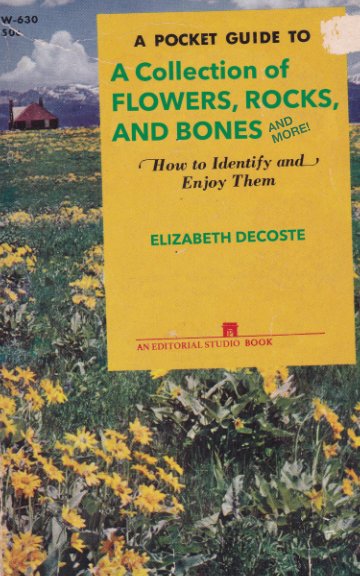 View A Pocket Guide To A Collection of Flowers, Rocks, and Bones by Elizabeth DeCoste