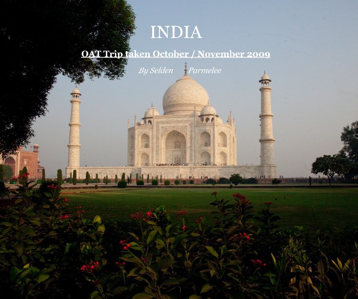 View INDIA by Selden Parmelee
