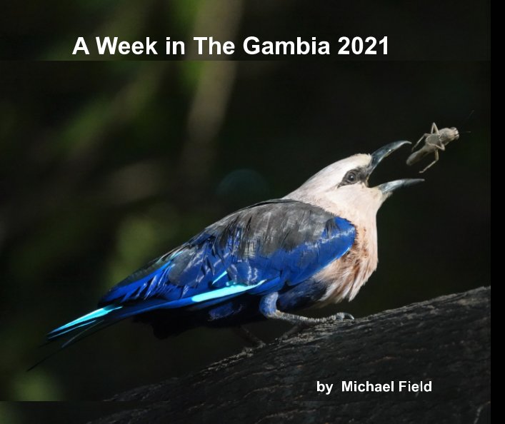A Week in The Gambia 2021 nach Michael Field anzeigen