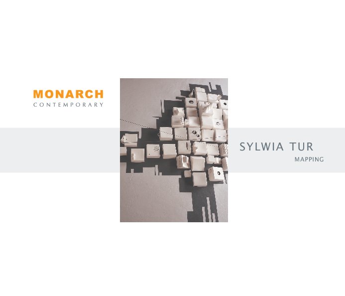 View Sylwia Tur : Mapping by Monarch Contemporary