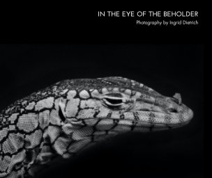 In The Eye Of The Beholder 10x8 book cover