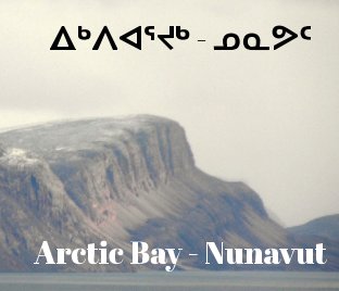Reduce version of Arctic Bay, Nunavut book cover