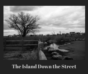 The Island Down the Street book cover
