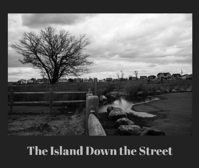 View The Island Down the Street by Sidney Goldberg